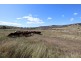 19 Jims Road, Blenheim QLD 4341
