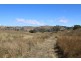 19 Jims Road, Blenheim QLD 4341