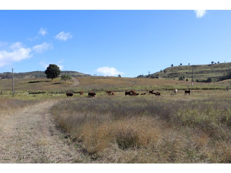 19 Jims Road, Blenheim QLD 4341