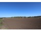 1228 Woodlands Road, Glen Cairn QLD 4342