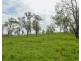 Blenheim QLD 4341