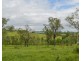 Blenheim QLD 4341