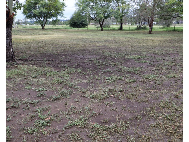 42 Napier Street, Laidley QLD 4341