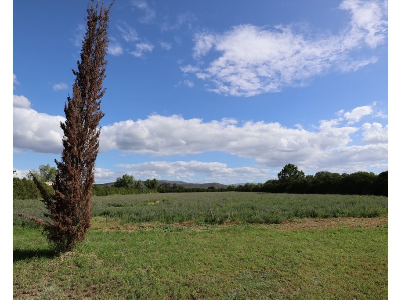 10-16 Drayton Street, Laidley QLD 4341