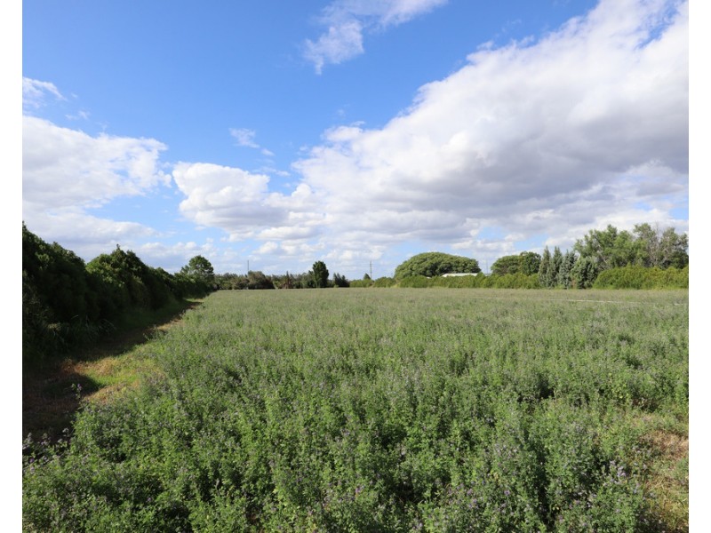 10-16 Drayton Street, Laidley QLD 4341