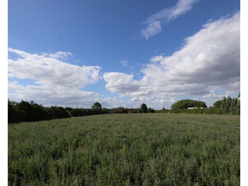 10-16 Drayton Street, Laidley QLD 4341