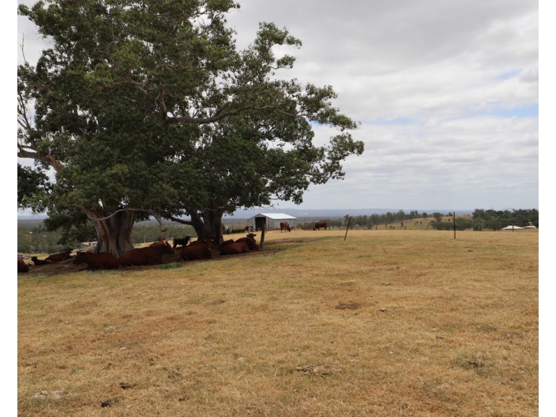 7 Sippel Road, Laidley Heights QLD 4341