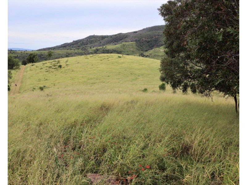 252 Left Hand Branch Road, Lefthand Branch QLD 4343