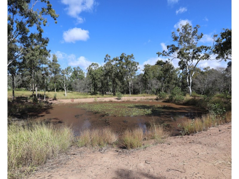 32 Pitt Road, Blenheim QLD 4341