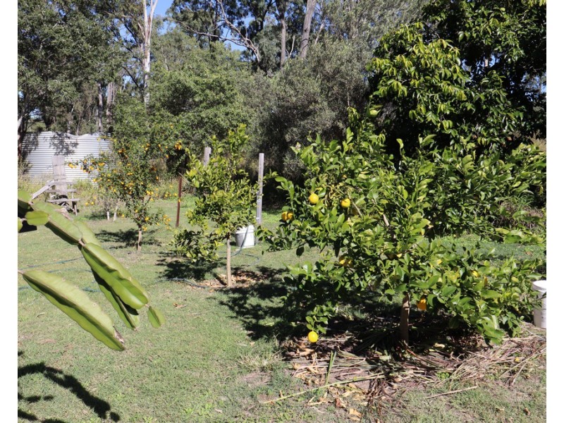 15 Yellowood Court, Kensington Grove QLD 4341