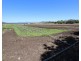 Laidley South QLD 4341