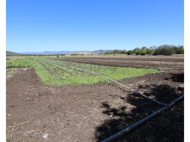 Laidley South QLD 4341