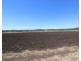 Laidley South QLD 4341