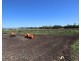 Laidley South QLD 4341