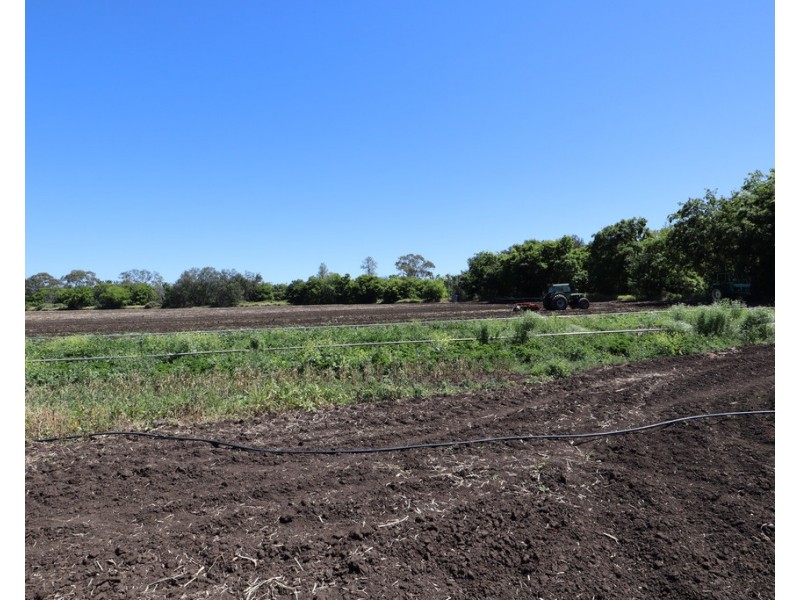 Laidley South QLD 4341