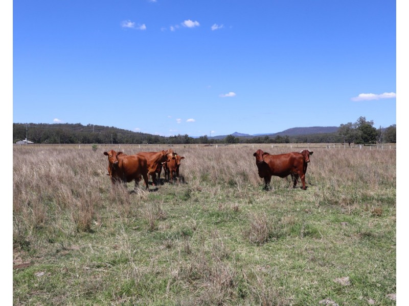 117 Doonans Road, Grandchester QLD 4340