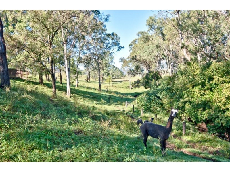 220 Mulgowie Rd, Thornton QLD 4341