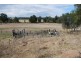 Blenheim QLD 4341