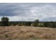 Blenheim QLD 4341