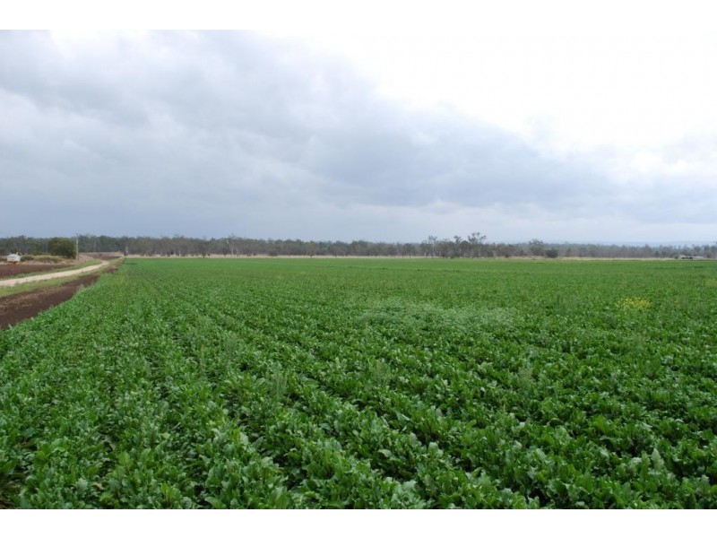 Forest Hill QLD 4342