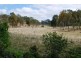 Mount Mort QLD 4340