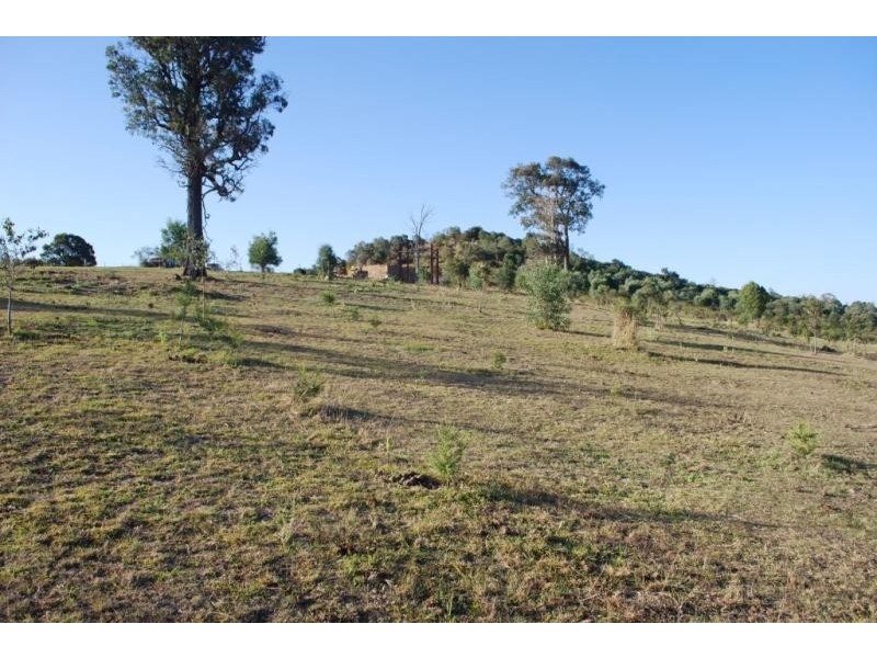 Laidley Creek West QLD 4341