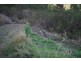 Laidley Creek West QLD 4341