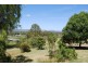 Laidley QLD 4341