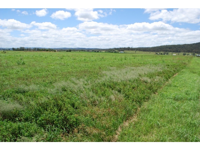 Laidley South QLD 4341