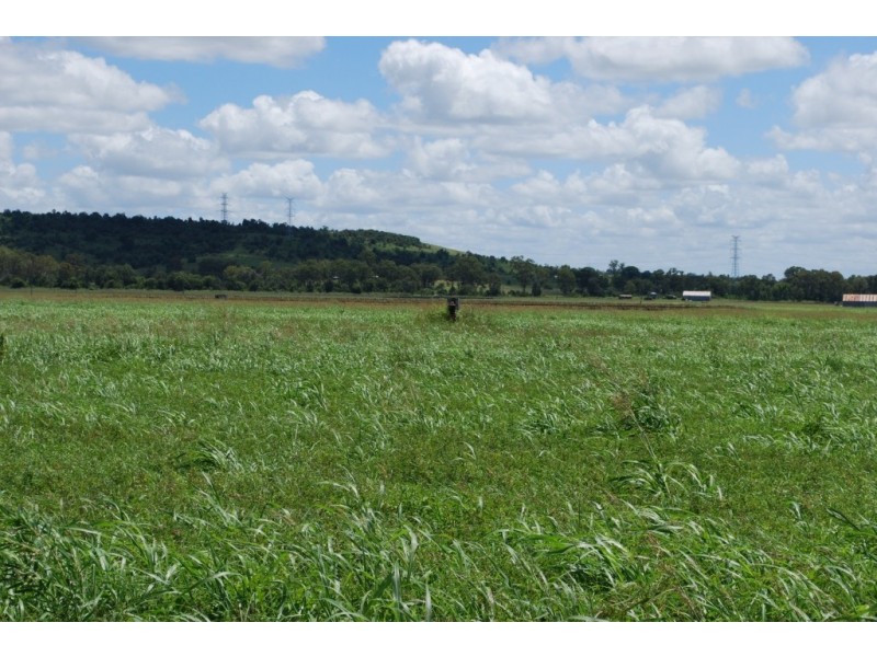 Laidley South QLD 4341