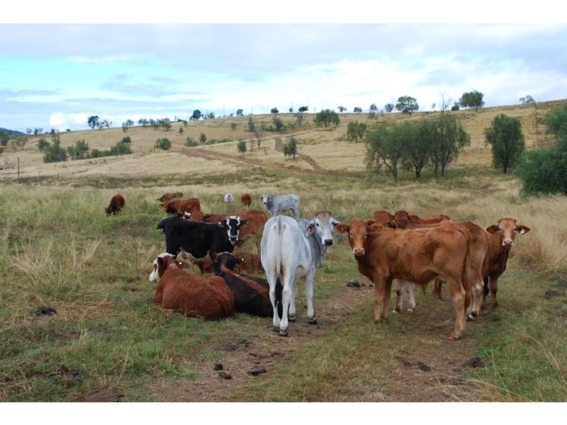 Blenheim QLD 4341