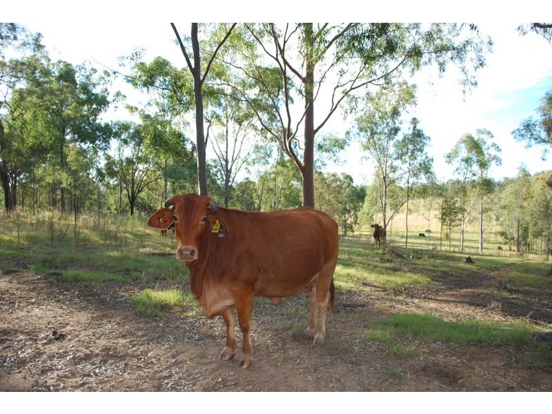 79 Sunset Blvd, Laidley QLD 4341