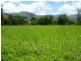Thornton QLD 4341