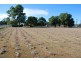 Laidley QLD 4341