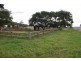 Minden QLD 4311