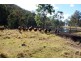 Mount Berryman QLD 4341