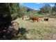 Mount Berryman QLD 4341