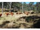 Mount Berryman QLD 4341