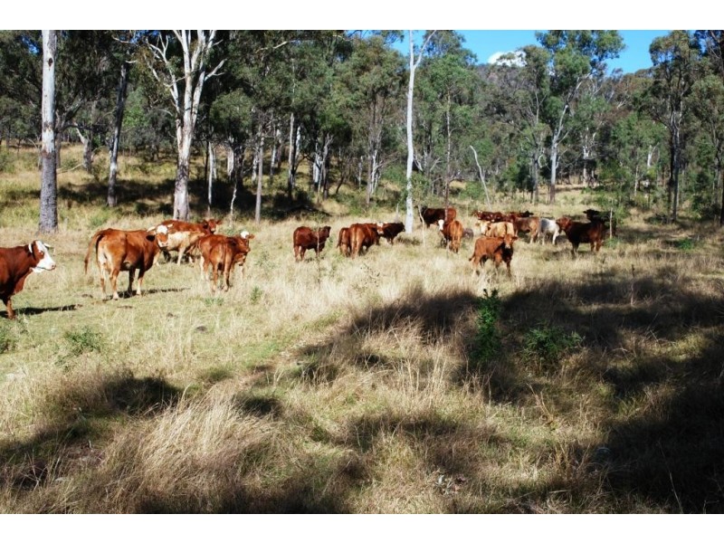 Mount Berryman QLD 4341