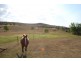 Plainland QLD 4341
