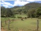 Mount Berryman QLD 4341