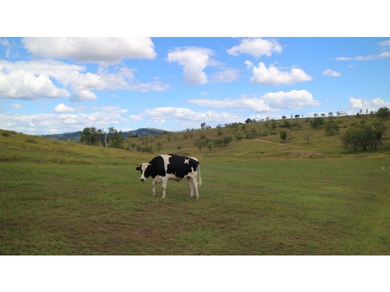 Blenheim QLD 4341