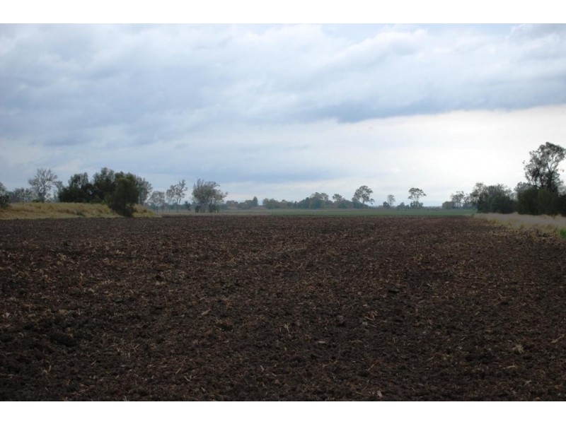 Forest Hill QLD 4342