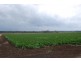 Forest Hill QLD 4342
