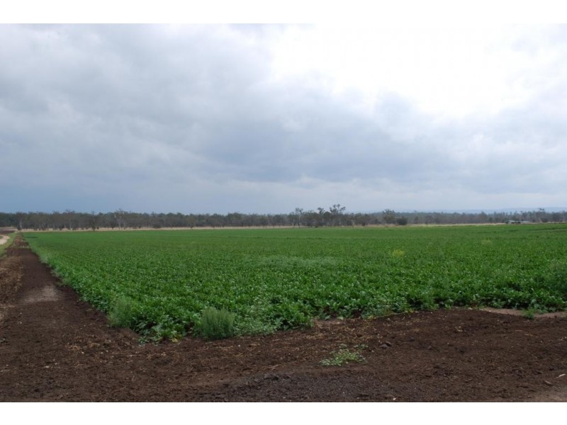 Forest Hill QLD 4342