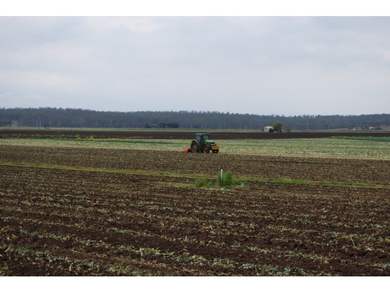 Forest Hill QLD 4342