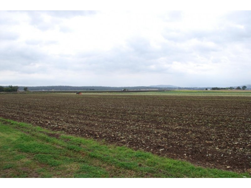 Forest Hill QLD 4342