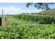 Thornton QLD 4341