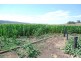 Thornton QLD 4341