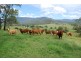 Townson QLD 4341